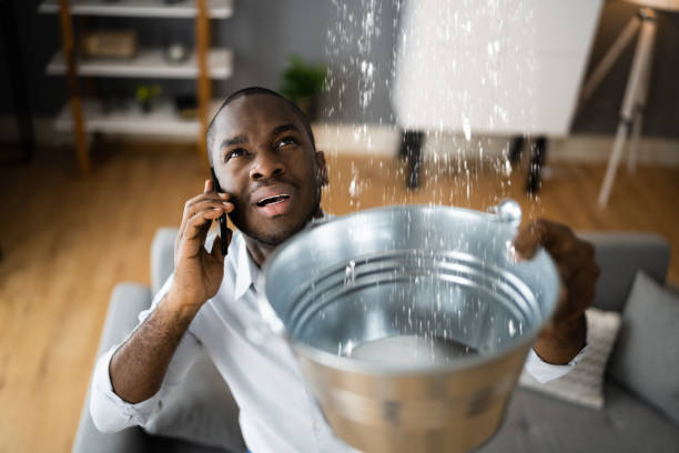 Best Commercial water damage restoration  in Southgate, KY