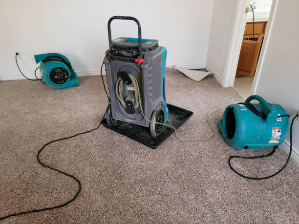 Carpet water damage restoration in Southgate, KY