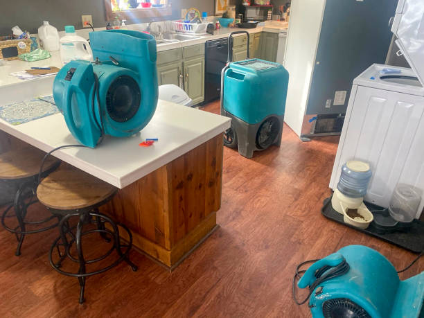 Best Flooded house restoration  in Southgate, KY