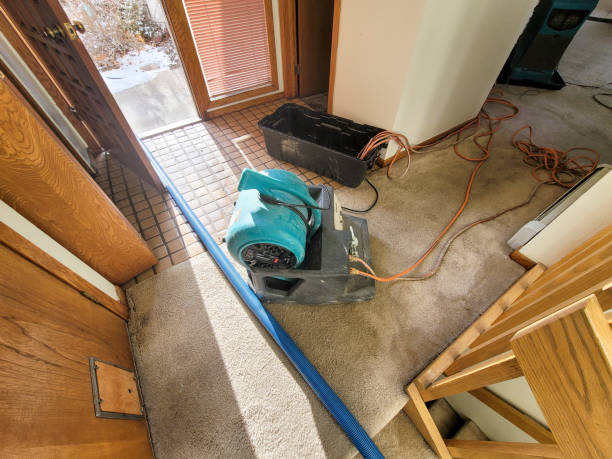 Best 24-hour water damage restoration  in Southgate, KY
