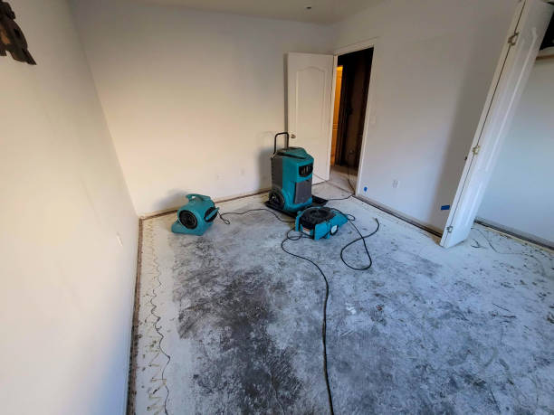 Best Sewage cleanup and water damage restoration  in Southgate, KY