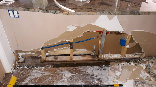 Best 24/7 water damage repair  in Southgate, KY