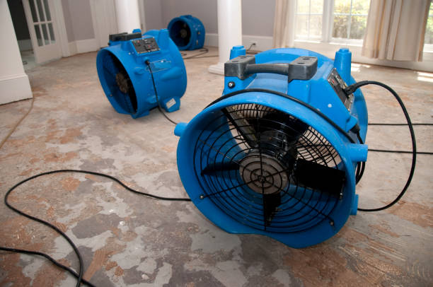 Best Fire Damage Restoration  in Southgate, KY