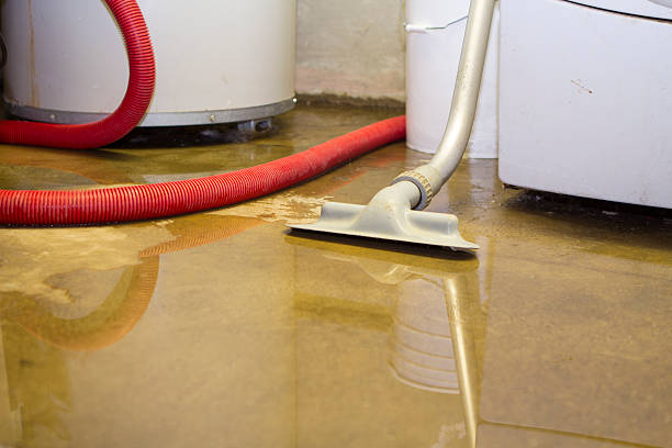 Best Water damage contractors near me  in Southgate, KY