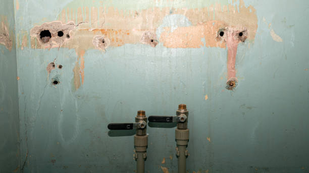 Best Flood restoration services  in Southgate, KY