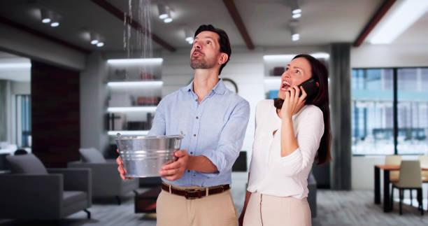 Best Water damage restoration insurance claims  in Southgate, KY